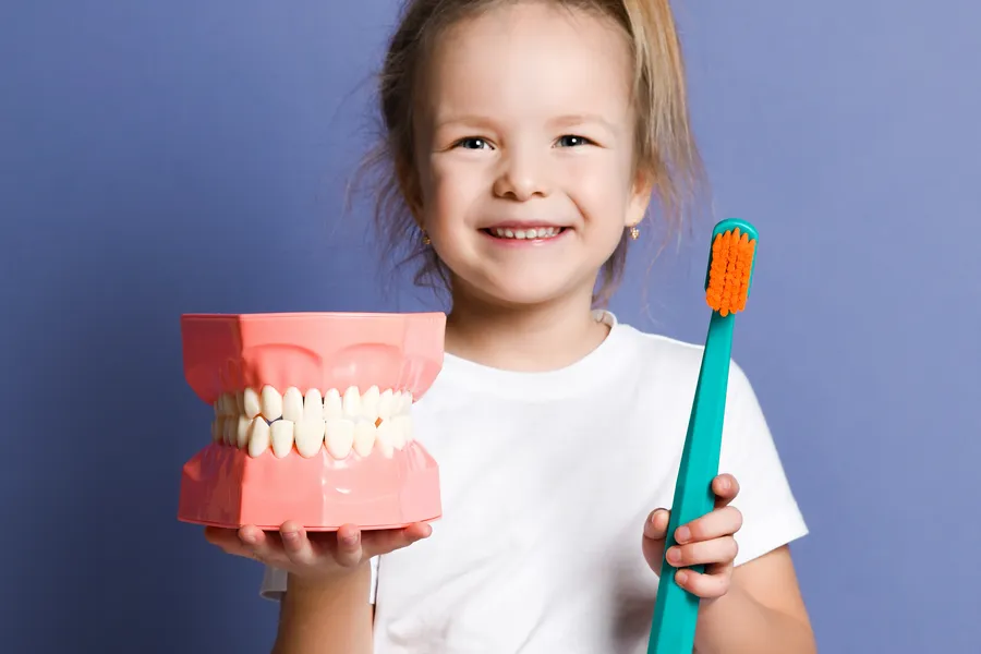 Child holding a toothbrush and dental model